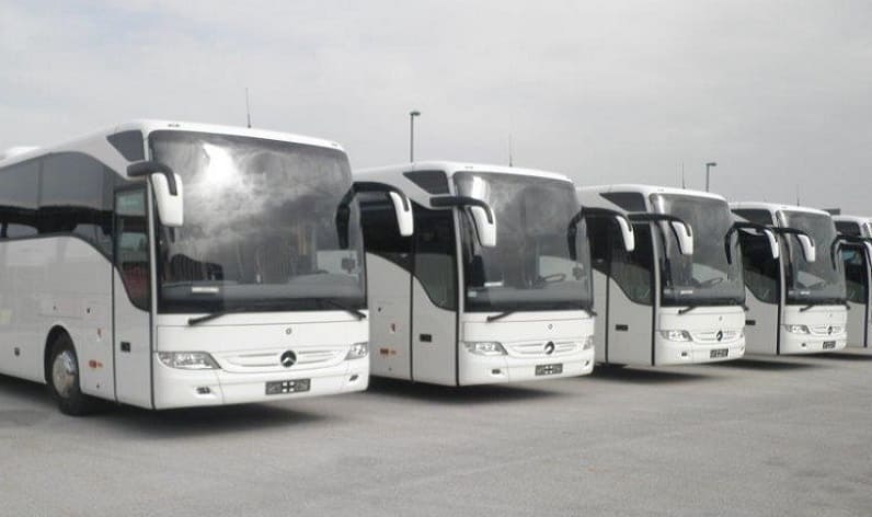 Montenegro: Bus company in Nikšić in Nikšić and Europe