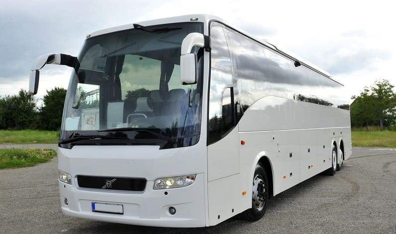 Europe: Buses agency in Montenegro in Montenegro and Stari Bar